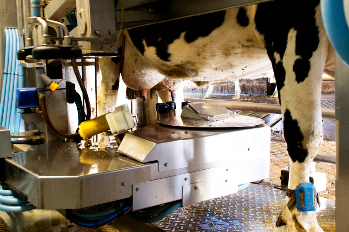 Echantillonneurs robots